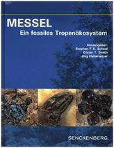 MESSEL - Ein fossiles Tropenökosystem