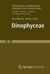 Dinophyceae