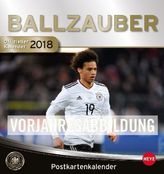 DFB Sammelkartenkalender 2019