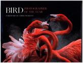 Bird Photographer Of The Year: Collection 3