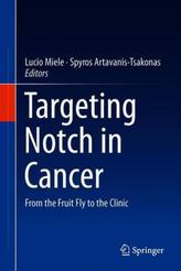 Targeting Notch in Cancer