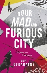 In Our Mad and Furious City