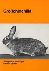 Grosschinchilla