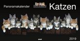 Katzen, Panoramakalender 2019