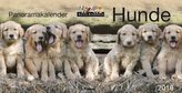 Hunde, Panoramakalender 2019