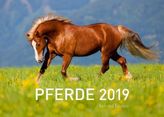 Pferde Exklusivkalender 2019