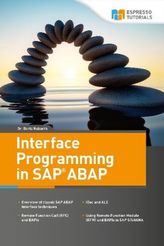 Interface Programming in SAP ABAP
