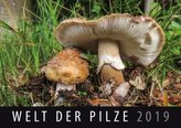Welt der Pilze 2019