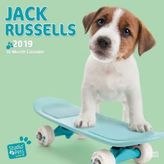 Jumping Jack Russels 2019