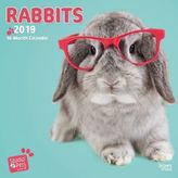 Rabbits Rule 2019