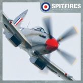 Spitfires 2019