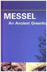 MESSEL - An Ancient Greenhouse Ecosystem