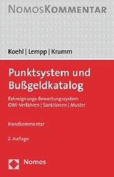 Punktsystem und Bußgeldkatalog, Kommentar