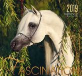 Fascination 2019