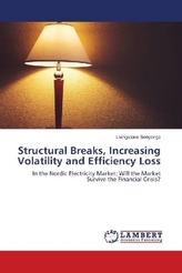 Structural Breaks, Increasing Volatility and Efficiency Loss