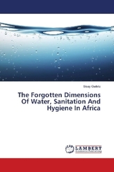 The Forgotten Dimensions Of Water, Sanitation And Hygiene In Africa