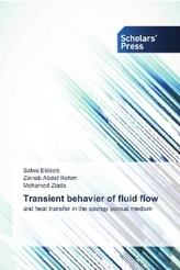 Transient behavier of fluid flow