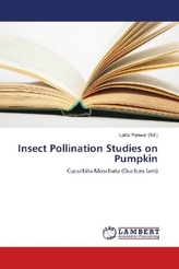 Insect Pollination Studies on Pumpkin