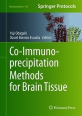 Co-Immunoprecipitation Methods for Brain Tissue