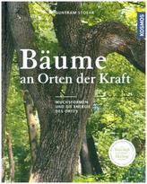 Bäume an Orten der Kraft