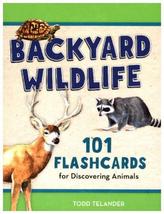 Kids' Backyard Wildlife Flashcards