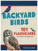 Kids' Birding Flashcards