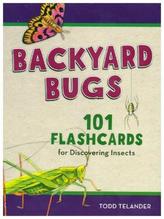 Kids' Bug Spotting Flashcards