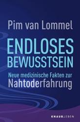 Endloses Bewusstsein