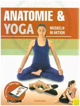 Anatomie & Yoga