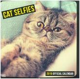 Cat Selfies 2019