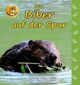 Dem Biber auf der Spur