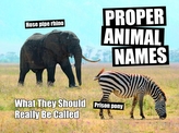 Proper Animal Names