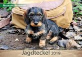 Jagdteckel 2019