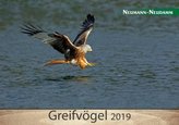 Greifvögel 2019