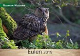 Eulen 2019