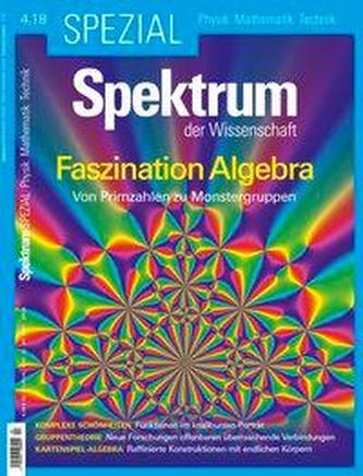 Spektrum Spezial - Faszination Algebra Spektrum Spezial - Faszination Algebra