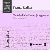 Blumfeld, ein älterer Junggeselle