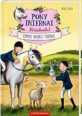 Pony-Internat Kirschental (Bd. 2)