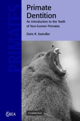  Primate Dentition
