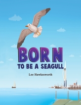  Born to Be a Seagull