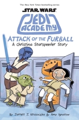  Jedi Academy 8