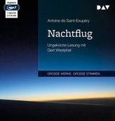 Nachtflug
