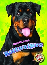  Rottweilers