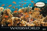 Waterworld 2020