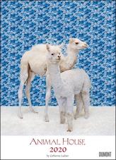 Animal House Kalender 2020 - DUMONT Tier-Kalender - Foto-Kunst - Poster-Format 49,5 x 68,5 cm
