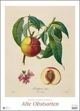 Pierre Antoine Poiteau: Alte Obstsorten 2020 - DUMONT Kunst-Kalender - Poster-Format 49,5 x 68,5 cm