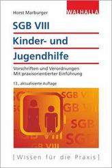 SGB VIII - Kinder- und Jugendhilfe