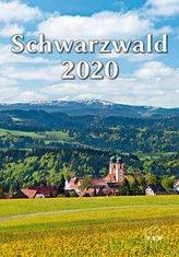 Schwarzwald 2020