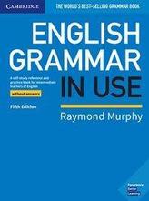 English Grammar in Use. Book without answers. Fifth Edition