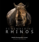  Remembering Rhinos